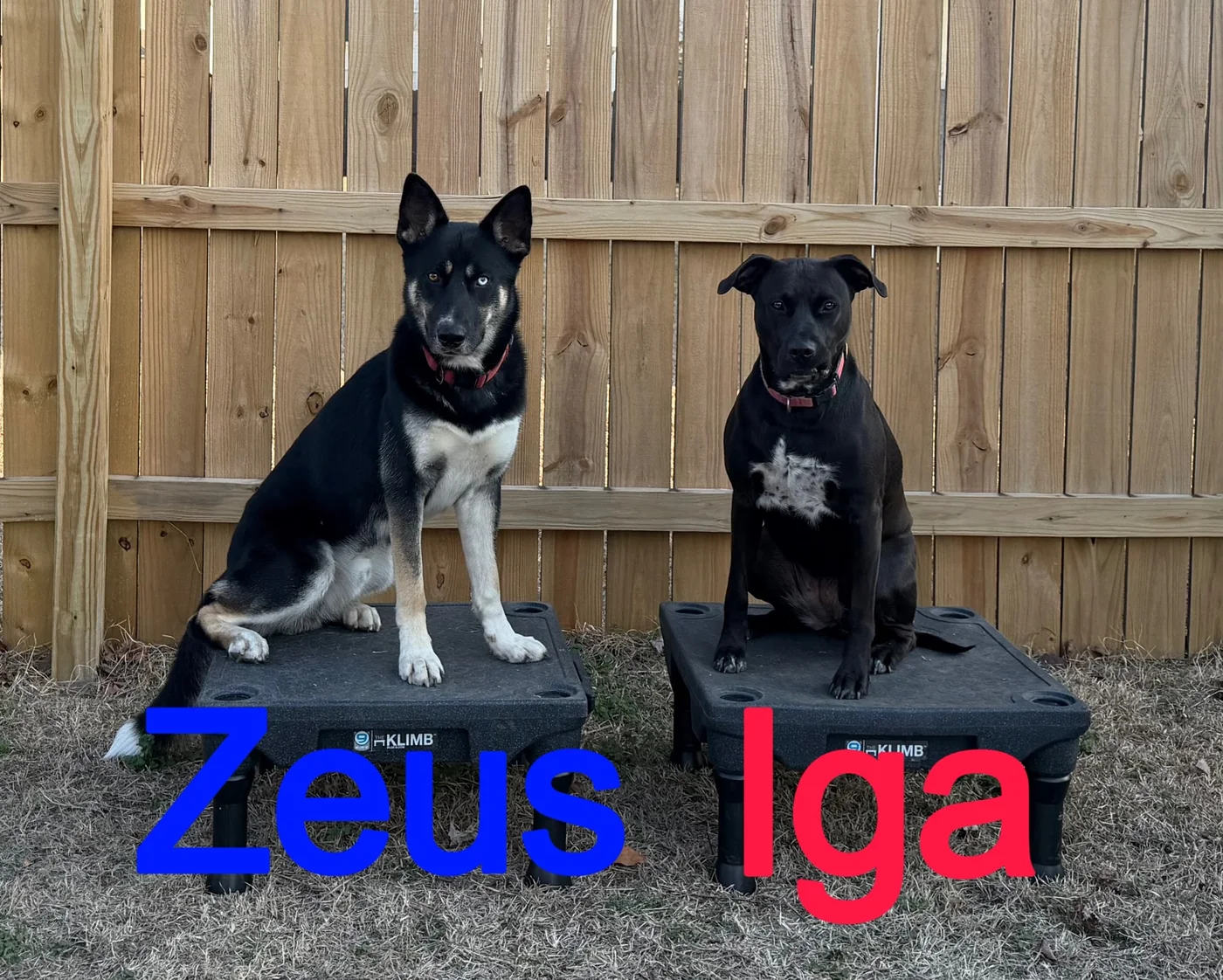 Zeus and Iga practicing on elevated platforms outdoors.