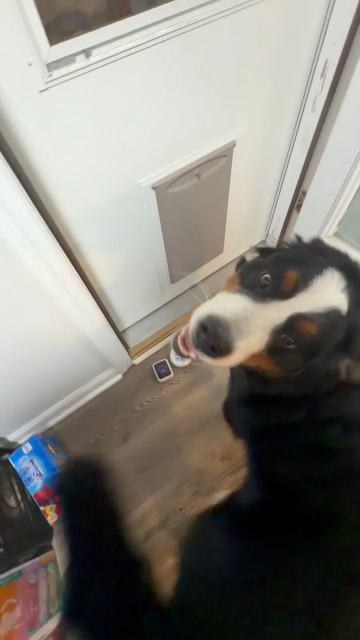 Preview of Louie and Aspen practicing an outside button